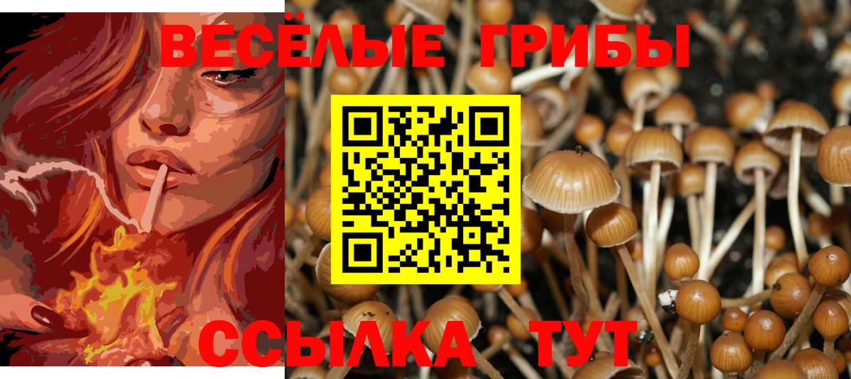 Галлюциногенные грибы Magic Shrooms  Вход с VPN  Галлюциногенные грибы прущие грибы  Магадан 