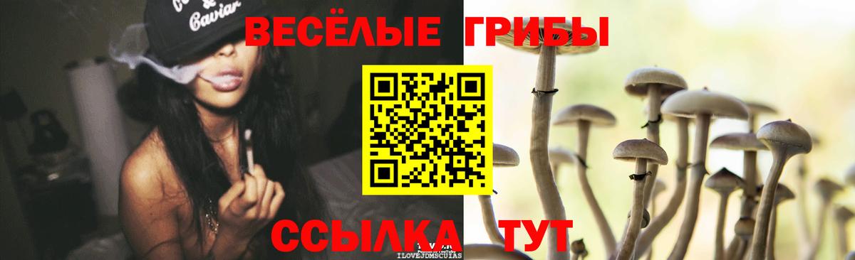 Галлюциногенные грибы прущие грибы Магадан